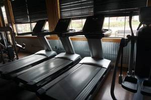 lot 3 image: FreeMotion Model Reflex t11.3 Interval Commercial Treadmill