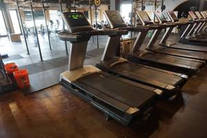 lot 23 image: FreeMotion Model Reflex t11.3 Interval Commercial Treadmill