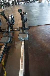 lot 36 image: Rogue Concept 2 Model D Indoor Rowing Machine