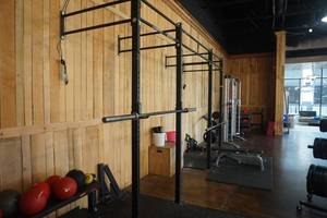 lot 90 image: Rogue Fitness Infinity Monster Lite Wall Mount Crossfit 2 Station Workout Place