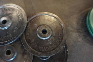lot 155 image: 4- Bigger Faster Stronger 5 lb Weight Plates