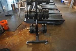 lot 168 image: Rogue Fitness Wheeled Weight Plate StandHolder