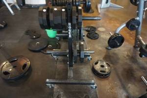 lot 169 image: Rogue Fitness Wheeled Weight Plate StandHolder