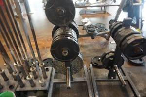 lot 170 image: Rogue Fitness Wheeled Weight Plate StandHolder