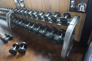 lot 244 image: Matrix Brand Commercial 20 Station Heavy Duty Dumbbell Rack
