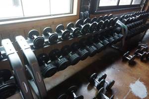 lot 246 image: Matrix Brand Commercial 20 Station Heavy Duty Dumbbell Rack
