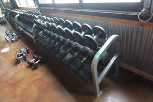 lot 247 image: Cybex Brand 20 Station Commercial Dumbbell Storage Rack