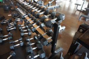 lot 286 image: 2 Level Heavy Duty Dumbbell Storage Rack