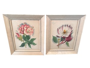 Vintage Mid Century Modern Botanical Watercolor, Framed