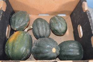 lot 368 image: Box of Home Grown Acorn Squash