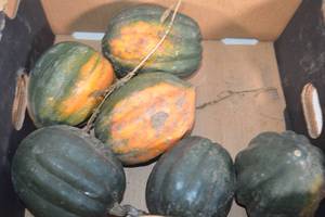 lot 369 image: Box of Home Grown Acorn Squash