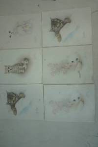 lot 255 image: Cat pictures