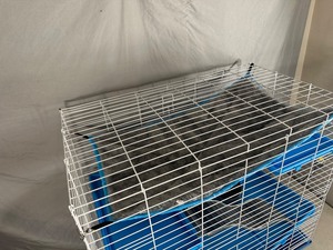 Kaytee Large Bird  Pet  Ferret  Guinea Pig Cage