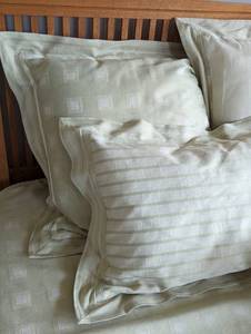 Olivet Pale Green Queen Size Bedding Set