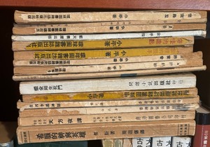 Variety of Asian Books