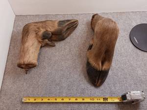 lot 48 image: Elk hoof gun rack