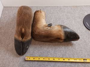 lot 49 image: Elk hoof gun rack