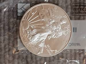 lot 1 image: 2021  Silver American Eagle