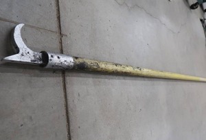 lot 43 image: PIKE POLE.
