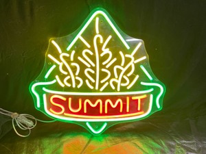 lot 97 image: Small Summit logo LED sign