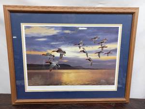 Daybreak at Lake Pipen Migrating Canvasback by David A. Mass