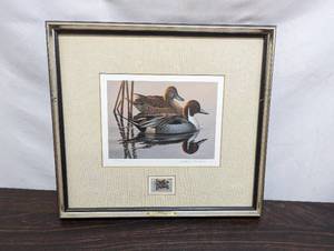 1983 Federal Duck Stamp by Phil Scholer