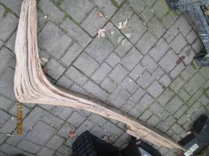 lot 116 image: Large 6 foot abstract slab of drift wood