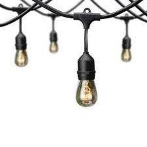 lot 193 image: Hampton Bay 12-Light 24 ft. IndoorOutdoor Plug-In Incandescent Edison Bulb String Light