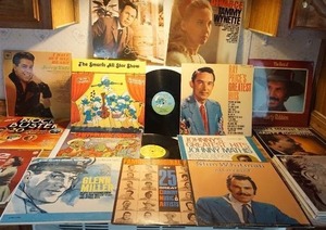 Collection of Vinyl LP Record Albums