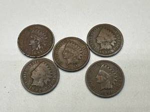 Lot of 5 Indian Head Pennies