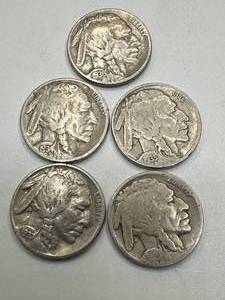 Lot of 5 Different Year Buffalo Nickels