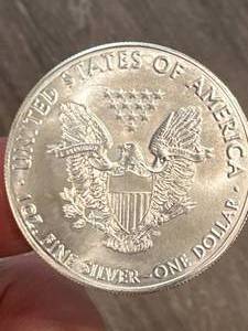 lot 38 image: 2020 1oz .999 Silver Eagle