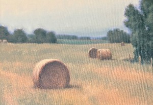 lot 99 image: Pastoral, The Hayfield Framed Print by Todd Voss