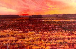 lot 141 image: Stunning Sunset Framed Print by H. Gregor