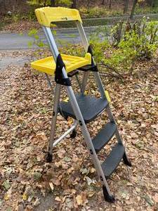 lot 303 image: Cosco Folding Stepstool  Ladder
