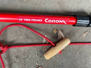 lot 313 image: Ten Foot Carona Tree Trimmer