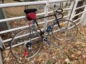 lot 326 image: Fuji 12 Speed Bike