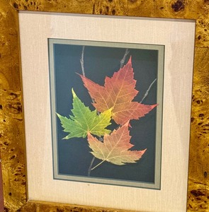 lot 238 image: Beautiful Artisan Created Framed Leaf Artwork