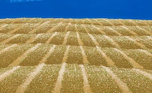 lot 215 image: Harvest Limited Edition Framed Print by Charles Beck