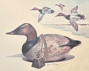 lot 411 image: Limited Edition Framed Federal Duck Stamp Print with Stamp by James P. Fisher