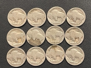 lot 5 image: Buffalo Nickels