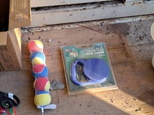 lot 555 image: Retractable Dog Leash and Toy Ball Set