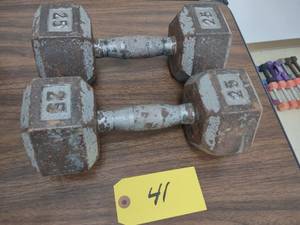 lot 41 image: (2) 30 lb. Dumbbells...