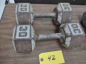 lot 42 image: (2) 25 lb. Dumbbells...