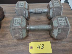 lot 43 image: (2) 25 lb. Dumbbells...
