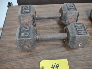 lot 44 image: (2) 20 lb. Dumbbells...