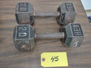 lot 45 image: (2) 20 lb. Dumbbells...
