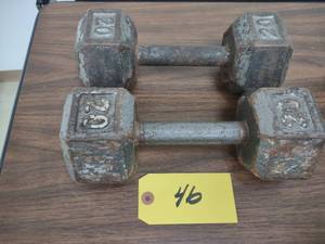 lot 46 image: (2) 20 lb. Dumbbells...