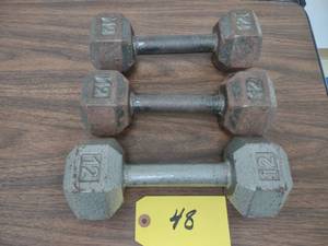 lot 48 image: (3) 12 lb. Dumbbells...