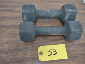 lot 53 image: (2) 10 lb. Dumbbells...